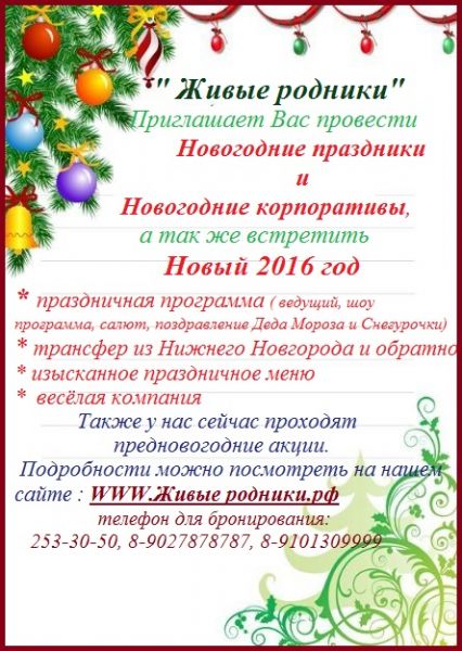 Скидки на новогодние праздники в "Живых родниках" Скидки на новогодние праздники в "Живых родниках"