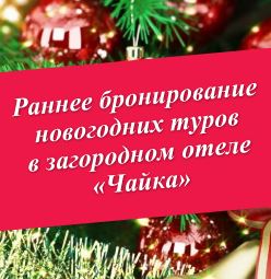Скидки на бронирование новогодних туров в загородном отеле "Чайка"! Скидки на бронирование новогодних туров в загородном отеле "Чайка"!