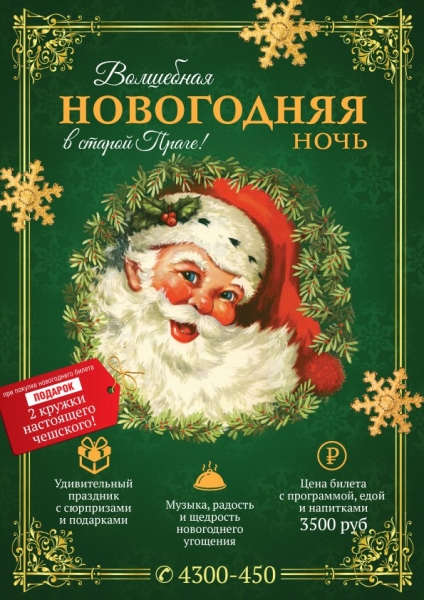 Новый Год в ресторане "Дружкова кружка" Новый Год в ресторане "Дружкова кружка"