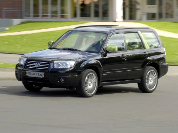 ���������� ������ "���� ������ 2008"