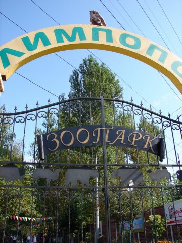 День пожилого человека в Нижнем Новгороде День пожилого человека в Нижнем Новгороде