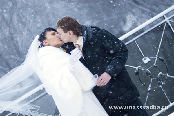 � 2011 ���� ����� ����� �������� � �����������