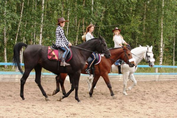 Современный манеж появится в спорткомплексе «Новинки» Современный манеж появится в спорткомплексе «Новинки»