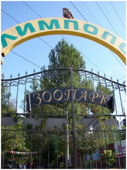 В Нижегородском зоопарке "Лимпопо" появится вольер с африканскими животными В Нижегородском зоопарке "Лимпопо" появится вольер с африканскими животными
