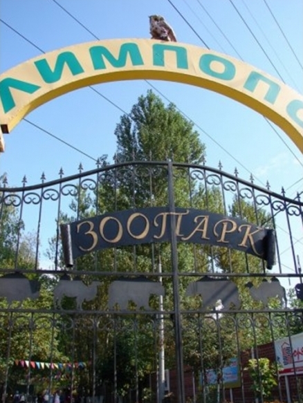 Романы и Юлии бесплатно посетят зоопарк Лимпопо Романы и Юлии бесплатно посетят зоопарк Лимпопо
