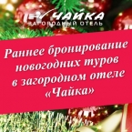 Скидки на раннее бронирование новогодних туров в загородном отеле