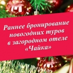 Скидки на бронирование новогодних туров в загородном отеле