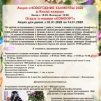 Новогодние каникулы в