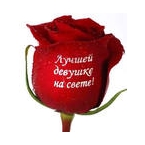 Оригинальное поздравление для любимых!